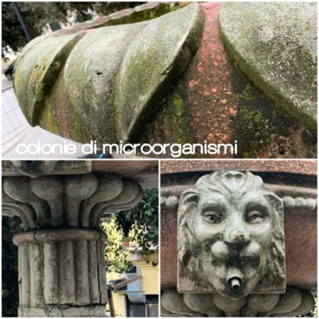 Fontana di Piazza XX Settembre - Gioia del Colle Prima e Dopo 2